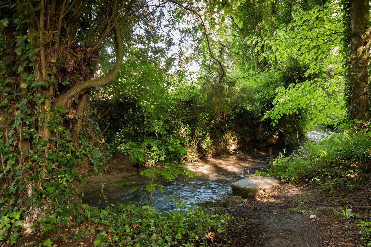 La Pomme Petillante Maisnieres Εξωτερικό φωτογραφία